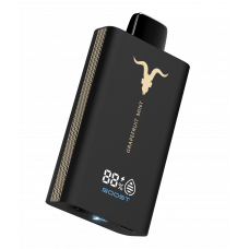 IGNITE V100 10000 Grapefruit Mint (Грейпфрут Мята)