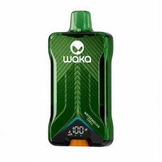 Waka Double 60000 Арбузная жвачка