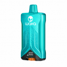 Waka Double 60000 Прохладная мята